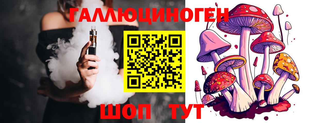 купить   Вход с VPN  Балашов  Псилоцибиновые грибы MAGIC MUSHROOMS 